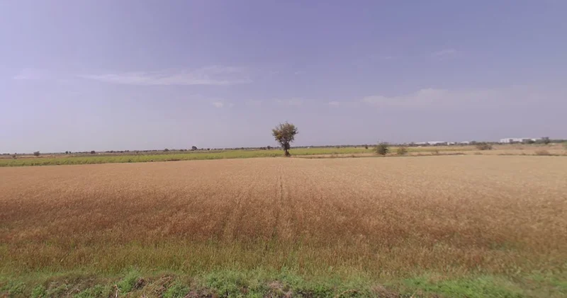 Viramgam, Gujarat 382150, India preview 2