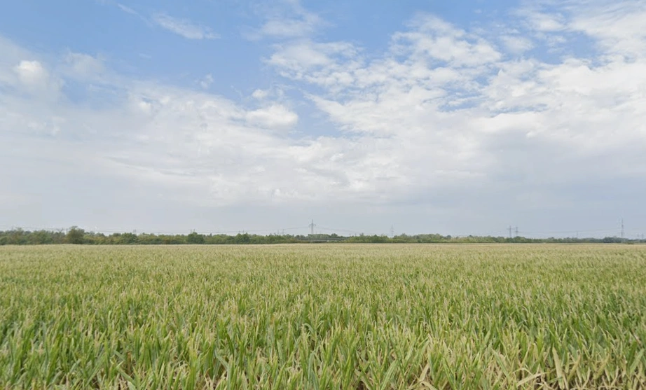 J8CC+JW6, Baudey, Punjab 142039, India