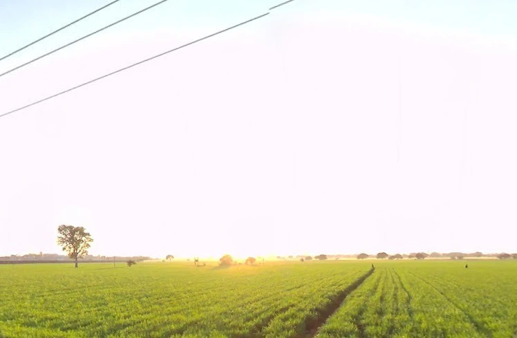 Ghatabillod, Madhya Pradesh 454773, India