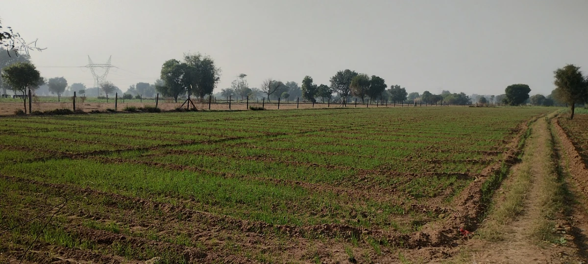 Govardhan, Uttar Pradesh, India