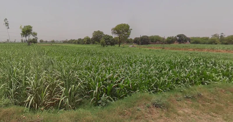 Kanadiya, Madhya Pradesh 452016, India preview 3