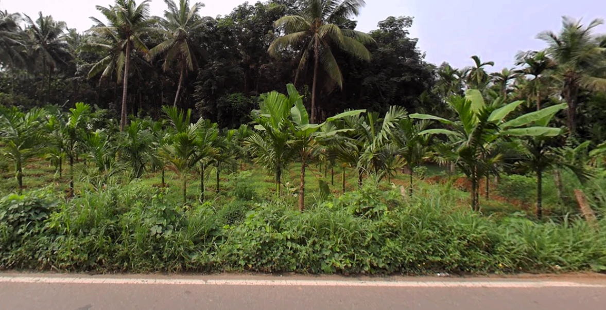 Belthangady, Karnataka 574214, India