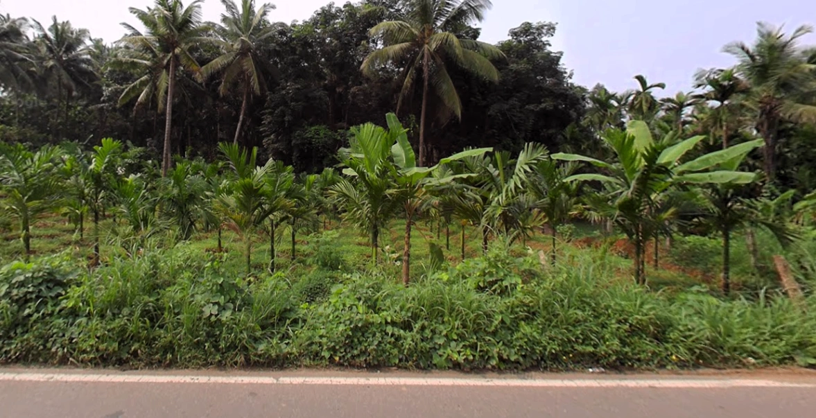 Belthangady, Karnataka 574214, India