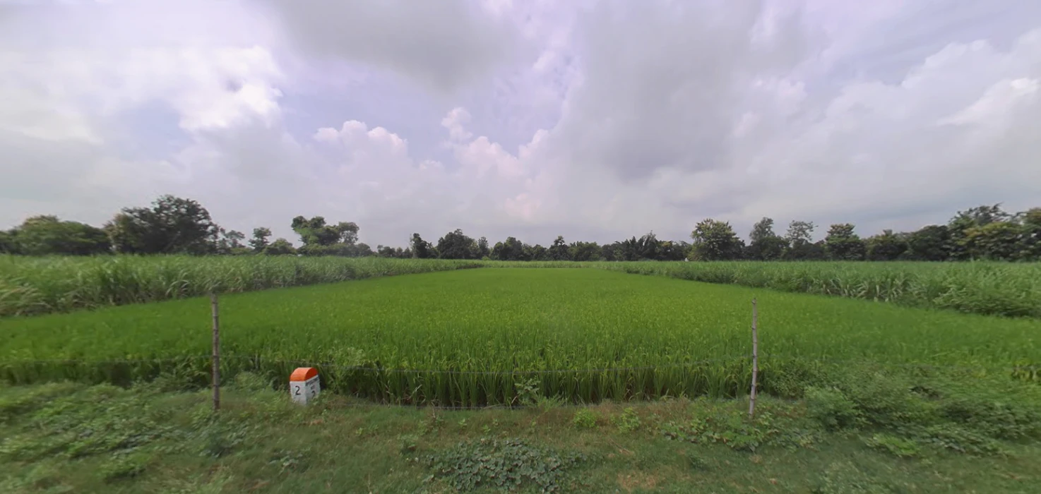 Biharigarh, Uttar Pradesh 247662, India