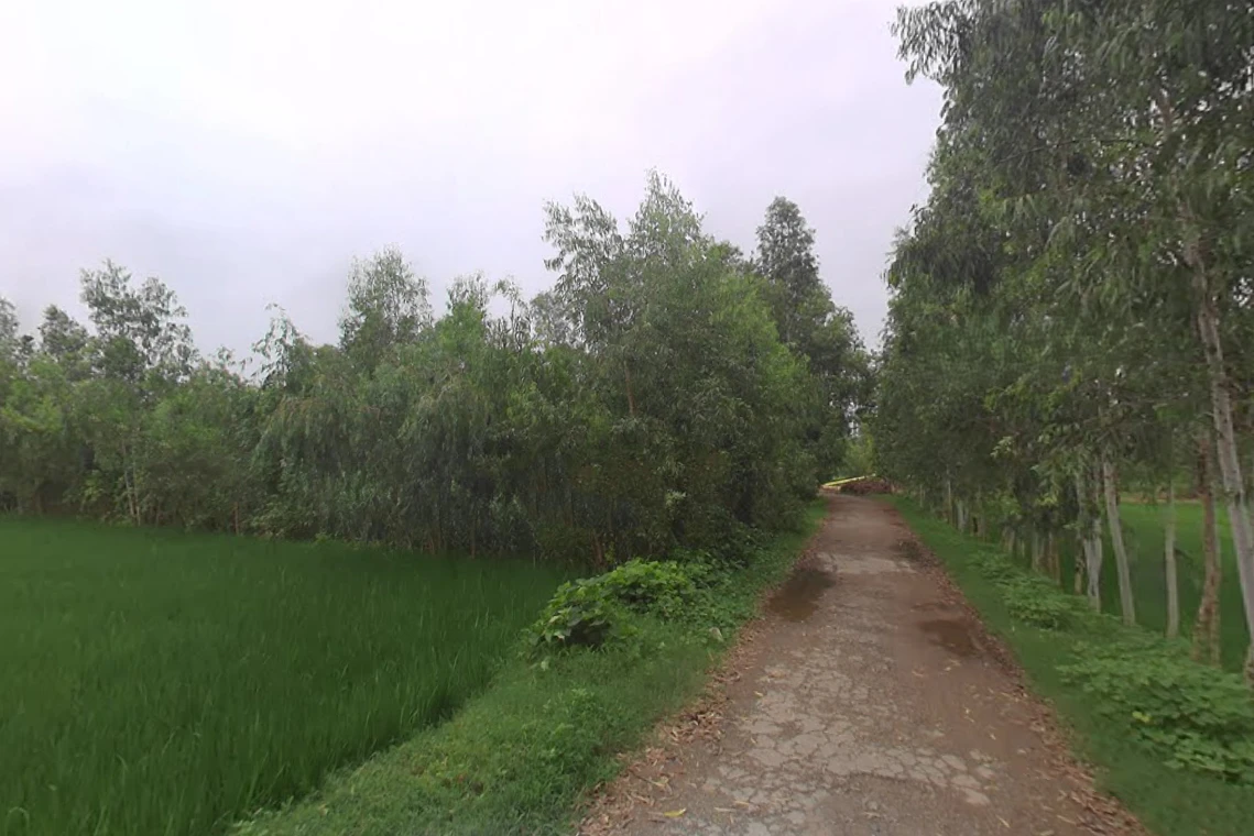 Mirganj, Uttar Pradesh 243504, India
