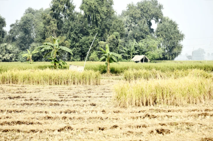 FRJW+9FJ, Seetal, Rajasthan 301021, India