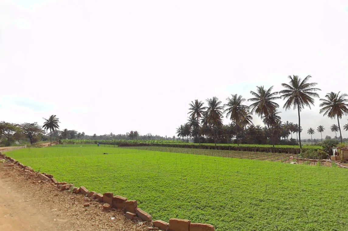 Malur, Karnataka 563130, India