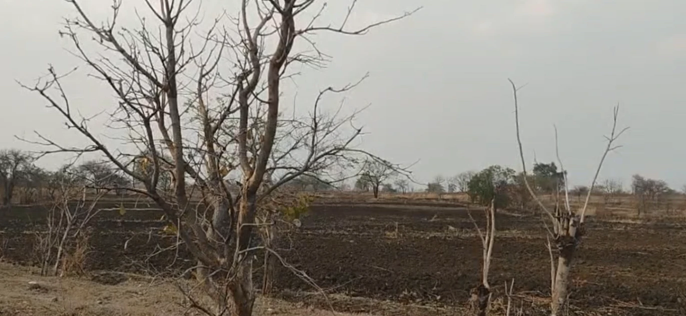 9CV9+C92, Adilabad, Warthamanoor, Telangana, India
