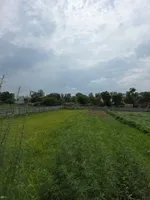 Harchandpur, Haryana 122103, India preview 2