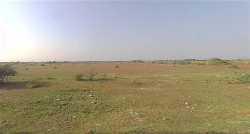 729P+CP Dhrasan Vel, Gujarat, India