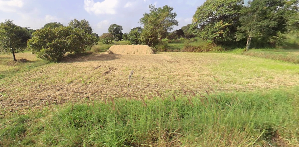 Desur, Karnataka, India