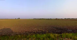 Khamboli, Maharashtra 412115, India preview 3