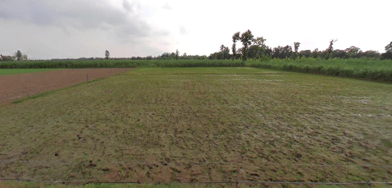 Kanth, Uttar Pradesh 244501, India