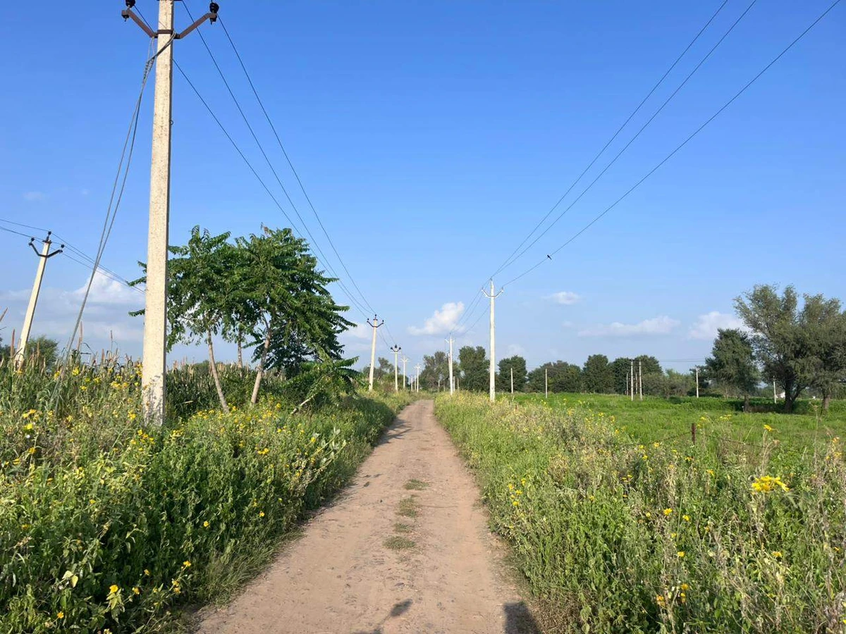 WHJV+8V Keerpura, Rajasthan, India