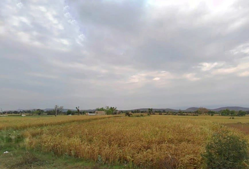 Thons, Rajasthan 301405, India