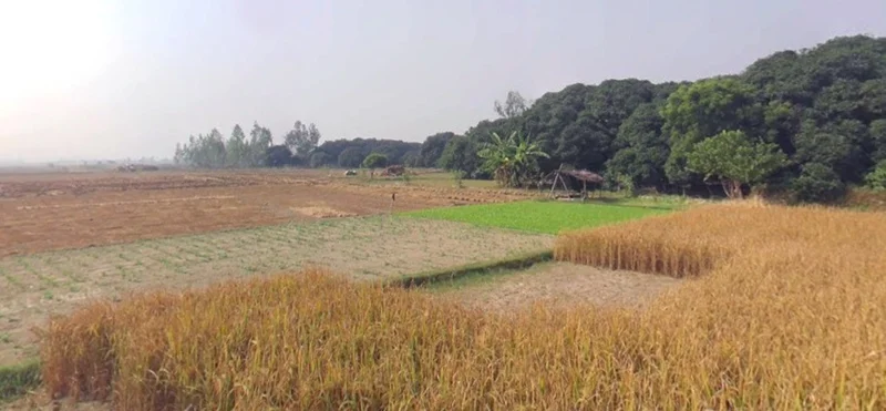 Bandori, Madhya Pradesh 462042, India preview 2