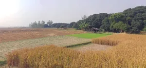 Bandori, Madhya Pradesh 462042, India preview 2