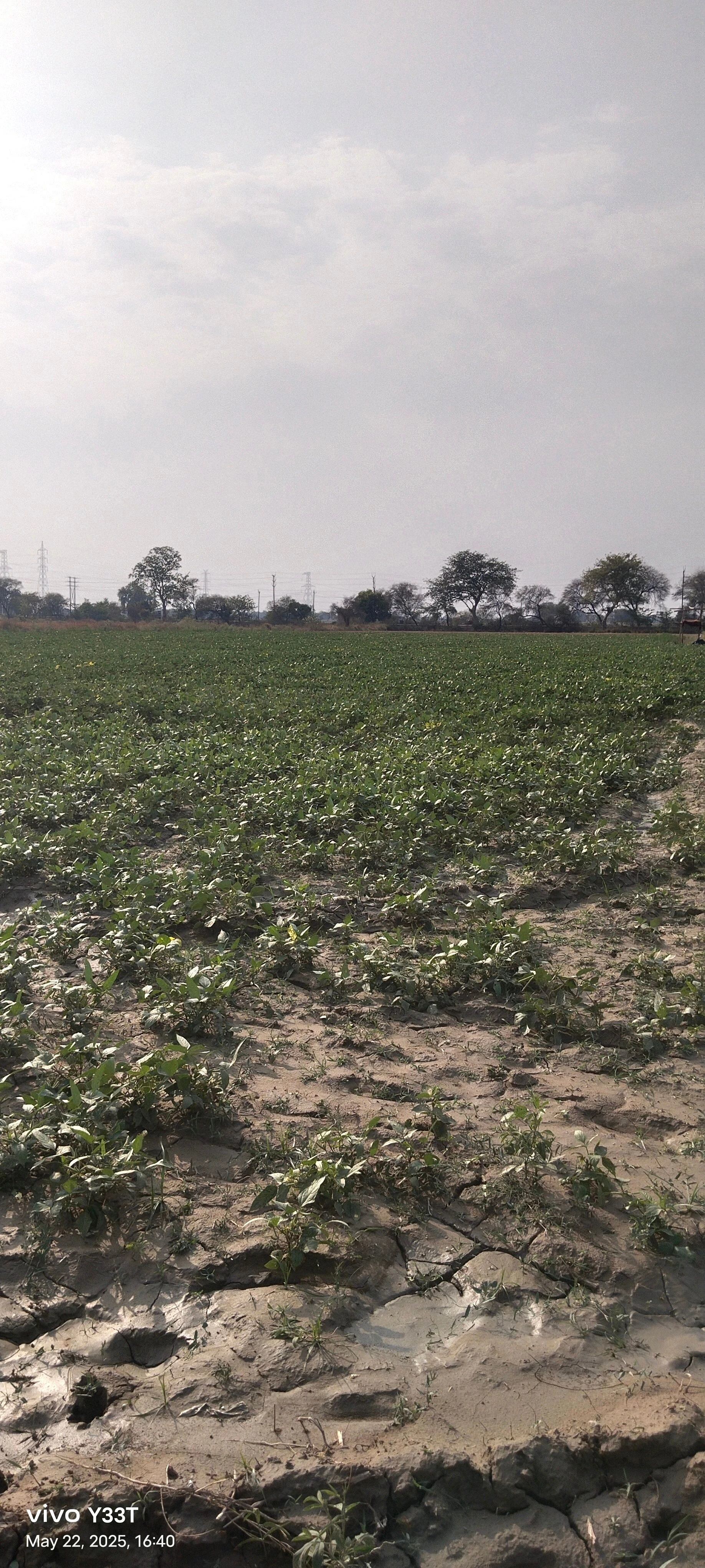 258R+G66, Pandri Gangadin, Uttar Pradesh 209206, India