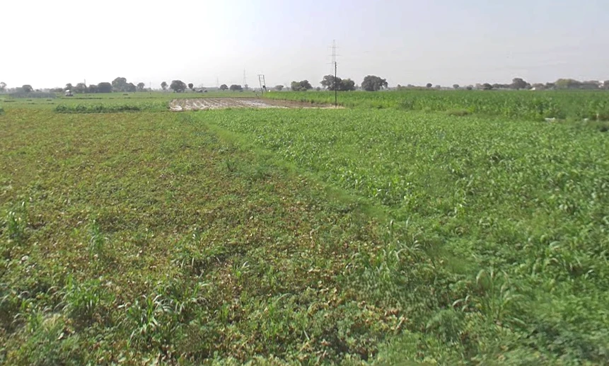 Shikarpur, Uttar Pradesh 203395, India