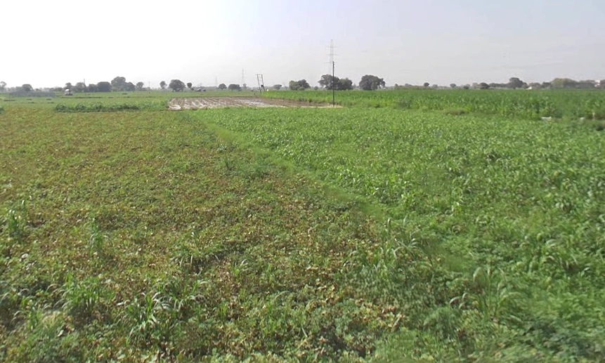 Shikarpur, Uttar Pradesh 203395, India