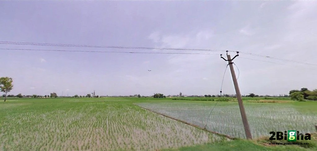 7Q8H+JRJ, Jalbera Rd, Majri, Haryana 133008, India