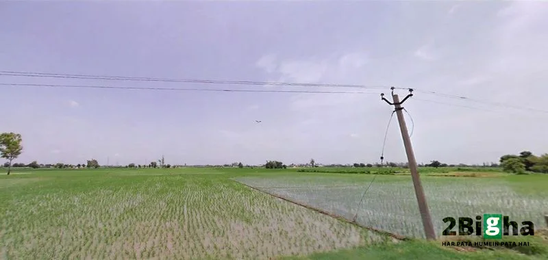 7Q8H+JRJ, Jalbera Rd, Majri, Haryana 133008, India preview 2