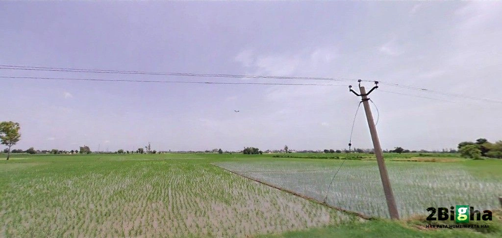 7Q8H+JRJ, Jalbera Rd, Majri, Haryana 133008, India