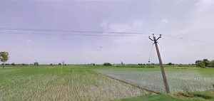 7Q8H+JRJ, Jalbera Rd, Majri, Haryana 133008, India preview 2