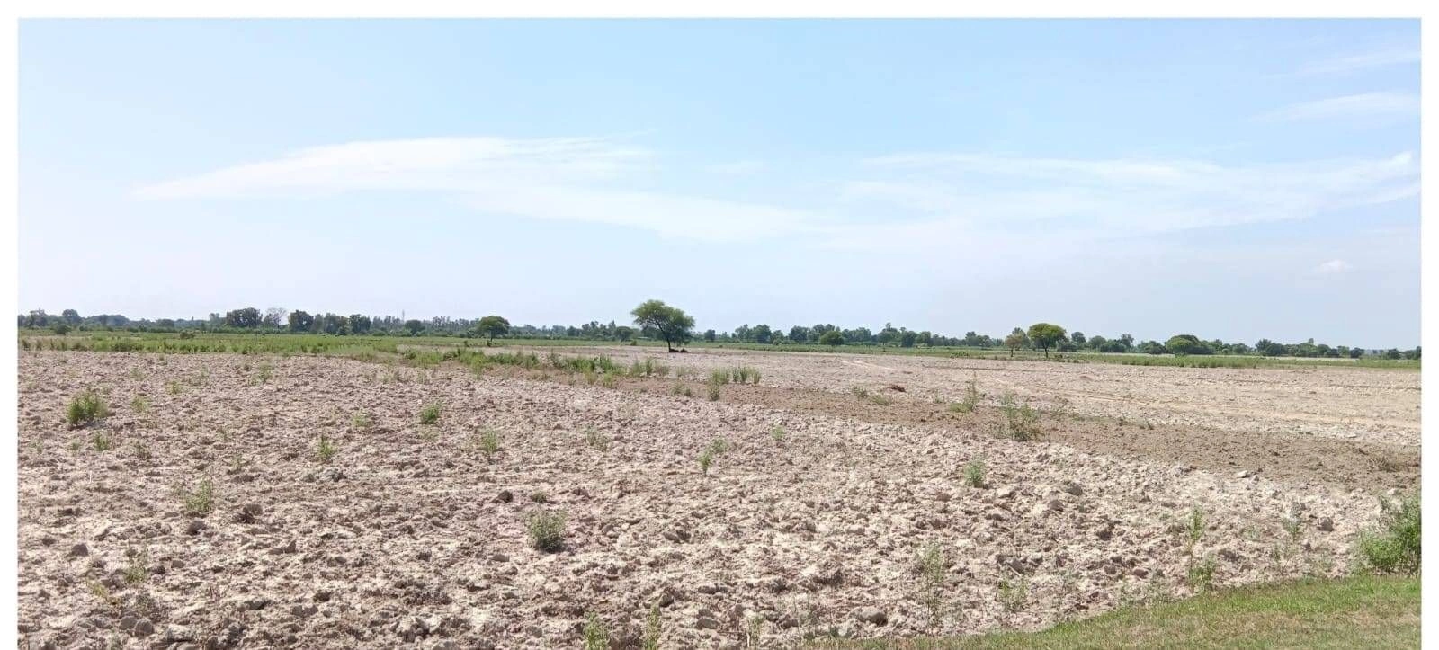 P5HJ+5J Malik Pur, Uttar Pradesh, India
