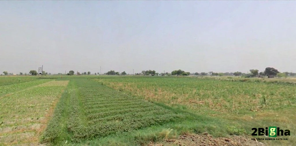 Murthal, Haryana, India