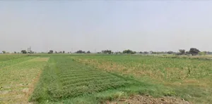 Murthal, Haryana, India preview 3