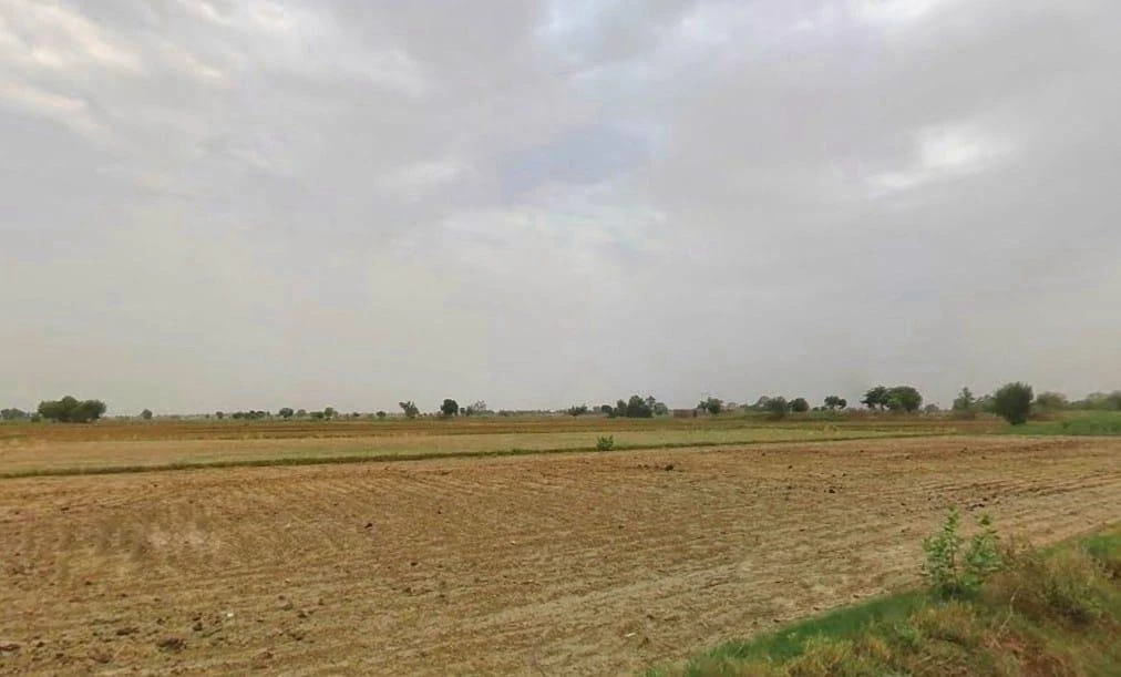 Desuri, Rajasthan 306703, India