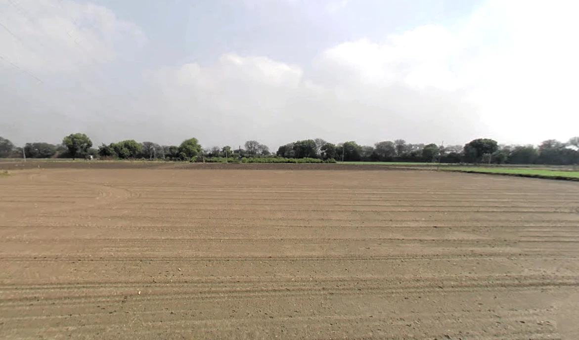 Bazidpur Saboli, Haryana 131029, India