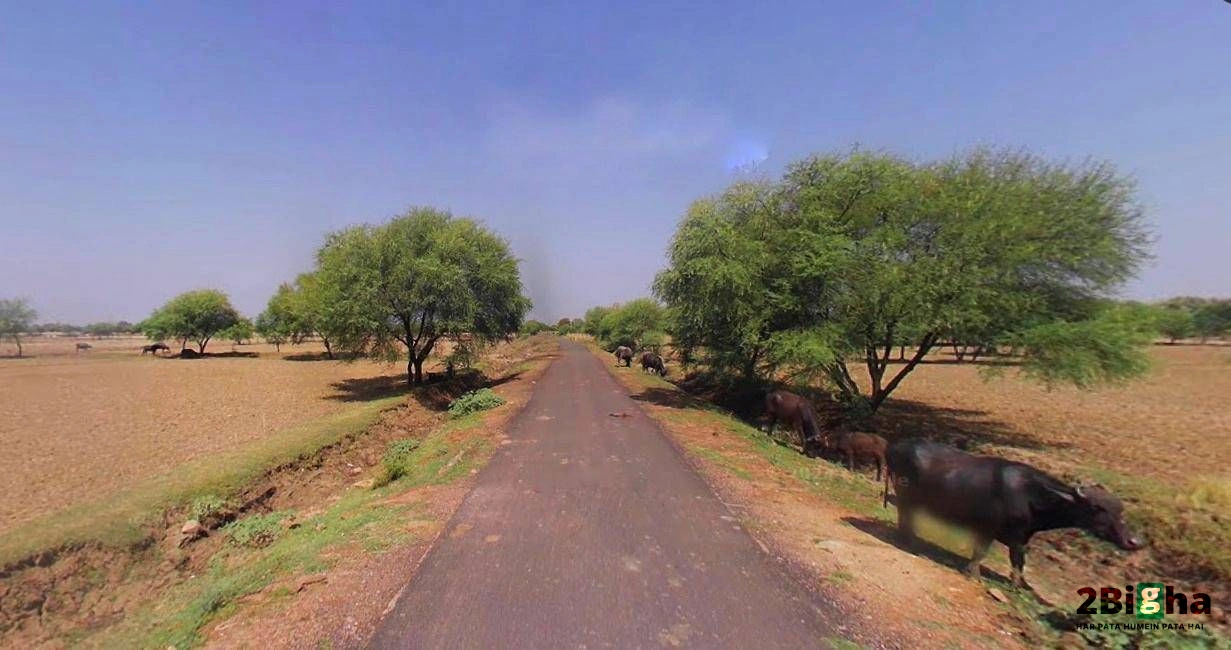 Muskara, Uttar Pradesh 210506, India