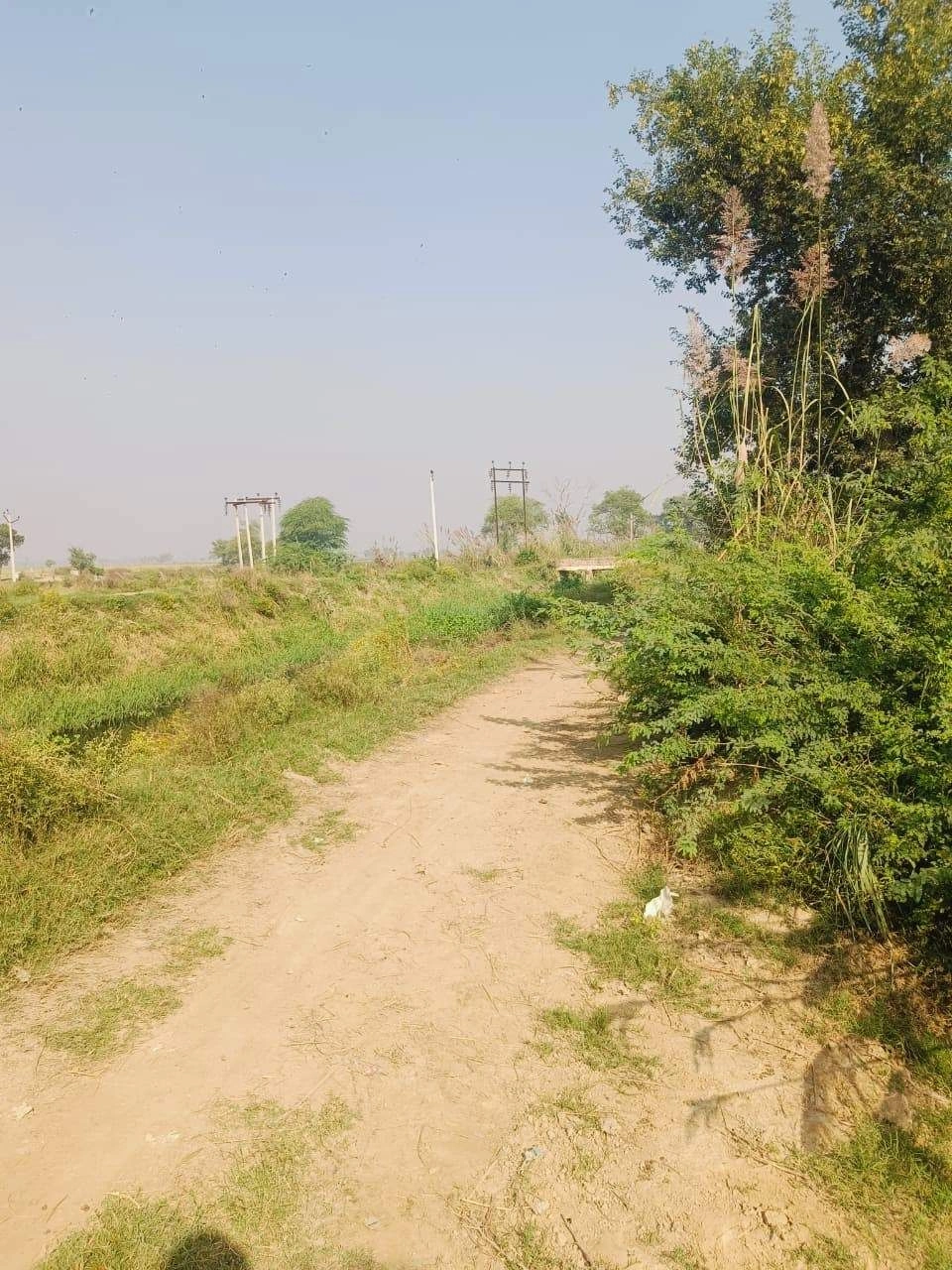 Umari, Mathura, Uttar Pradesh 281123, India - Photo 3