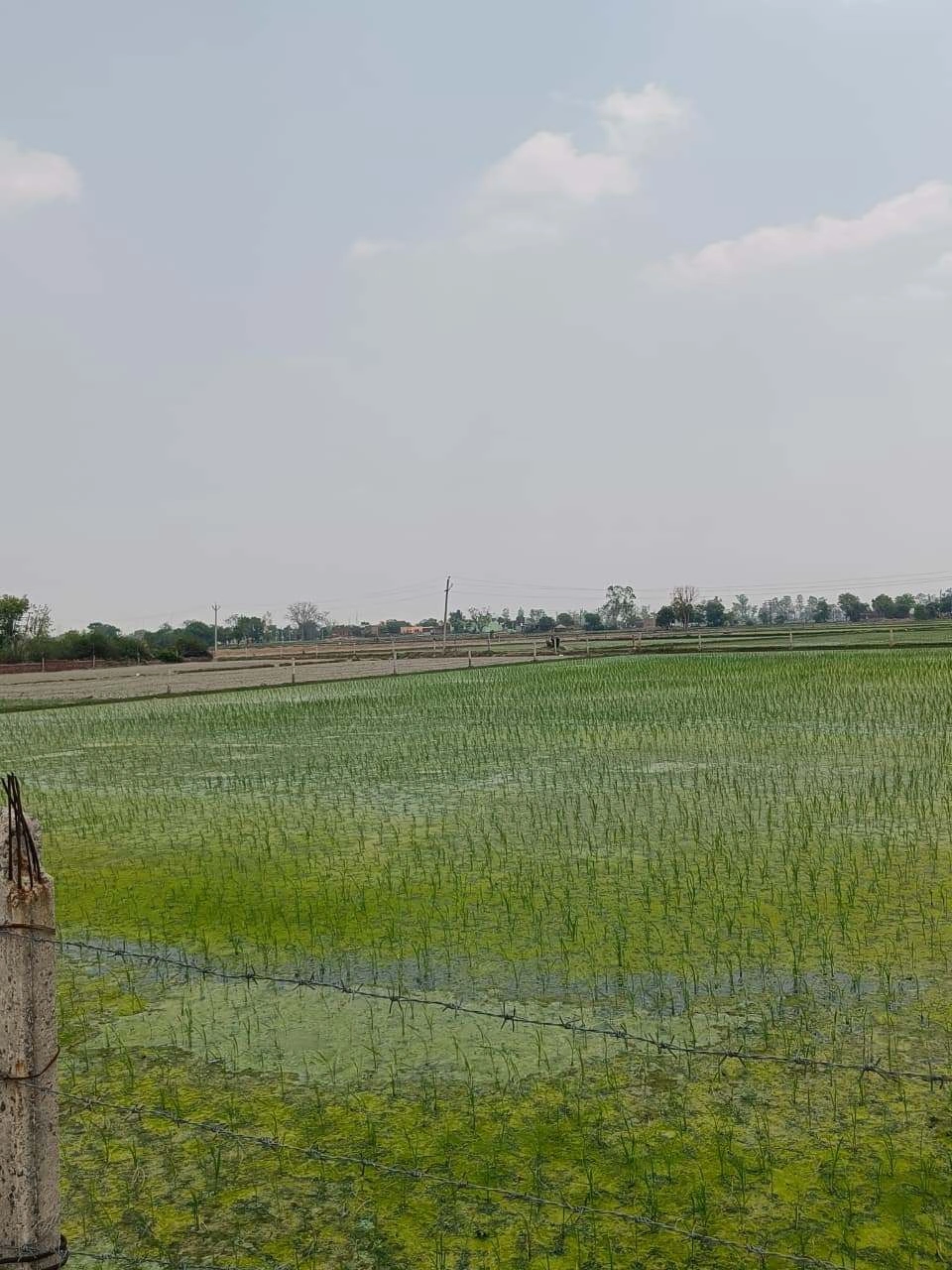 Gharwari, Rajasthan 321201, India