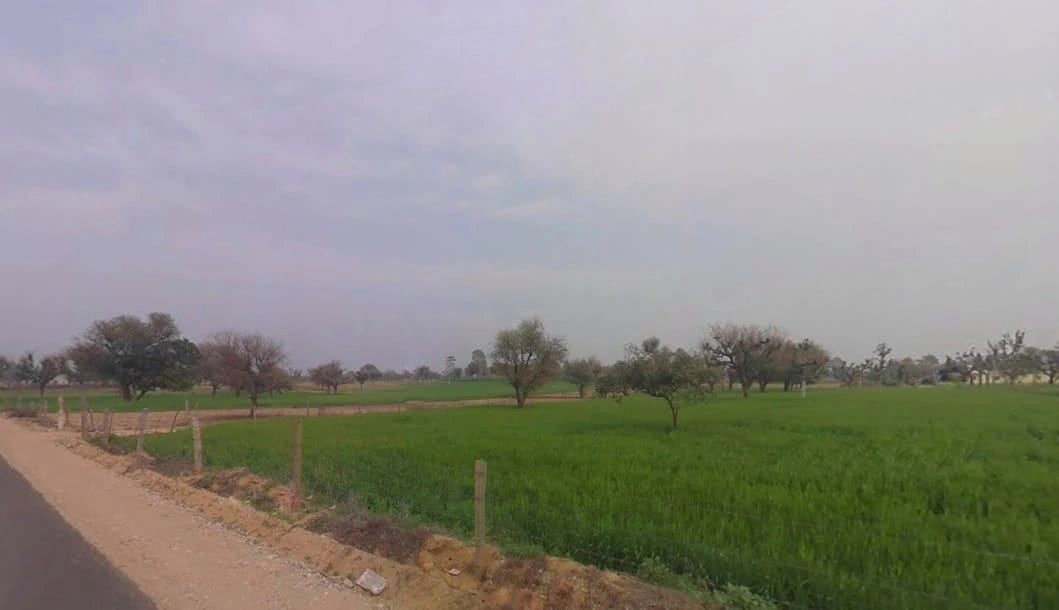 8C76+VXV, Lamiyan, Rajasthan, India preview 3