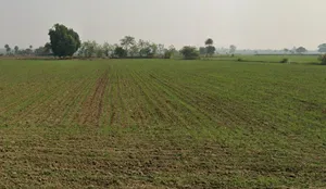 Indore, Madhya Pradesh, India preview 3