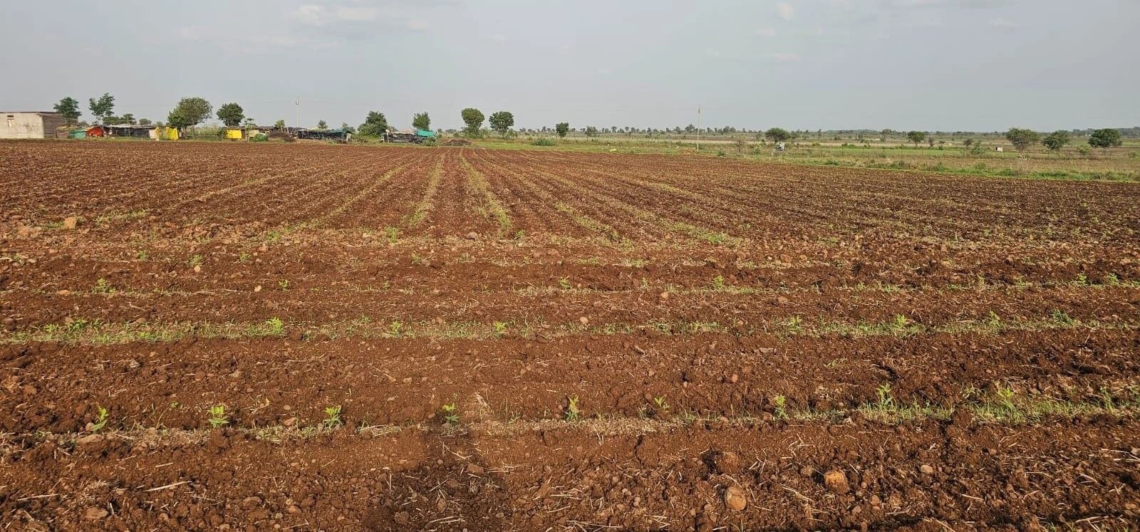 XF47+637, Khandwa, Bamangaon Bhila, Madhya Pradesh 450991, India
