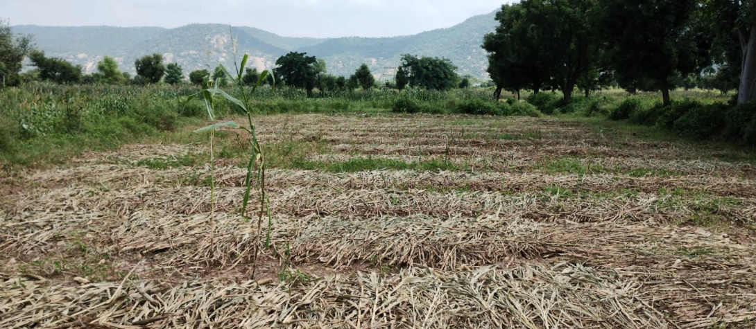 Bhalla Pind, Punjab 143102, India
