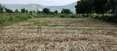 Bhalla Pind, Punjab 143102, India preview 2