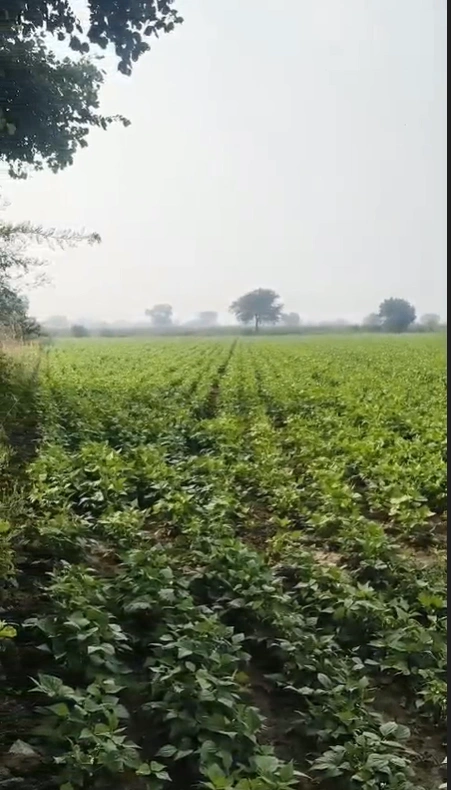 2QPW+49 Khadi Kolavan, Maharashtra, India