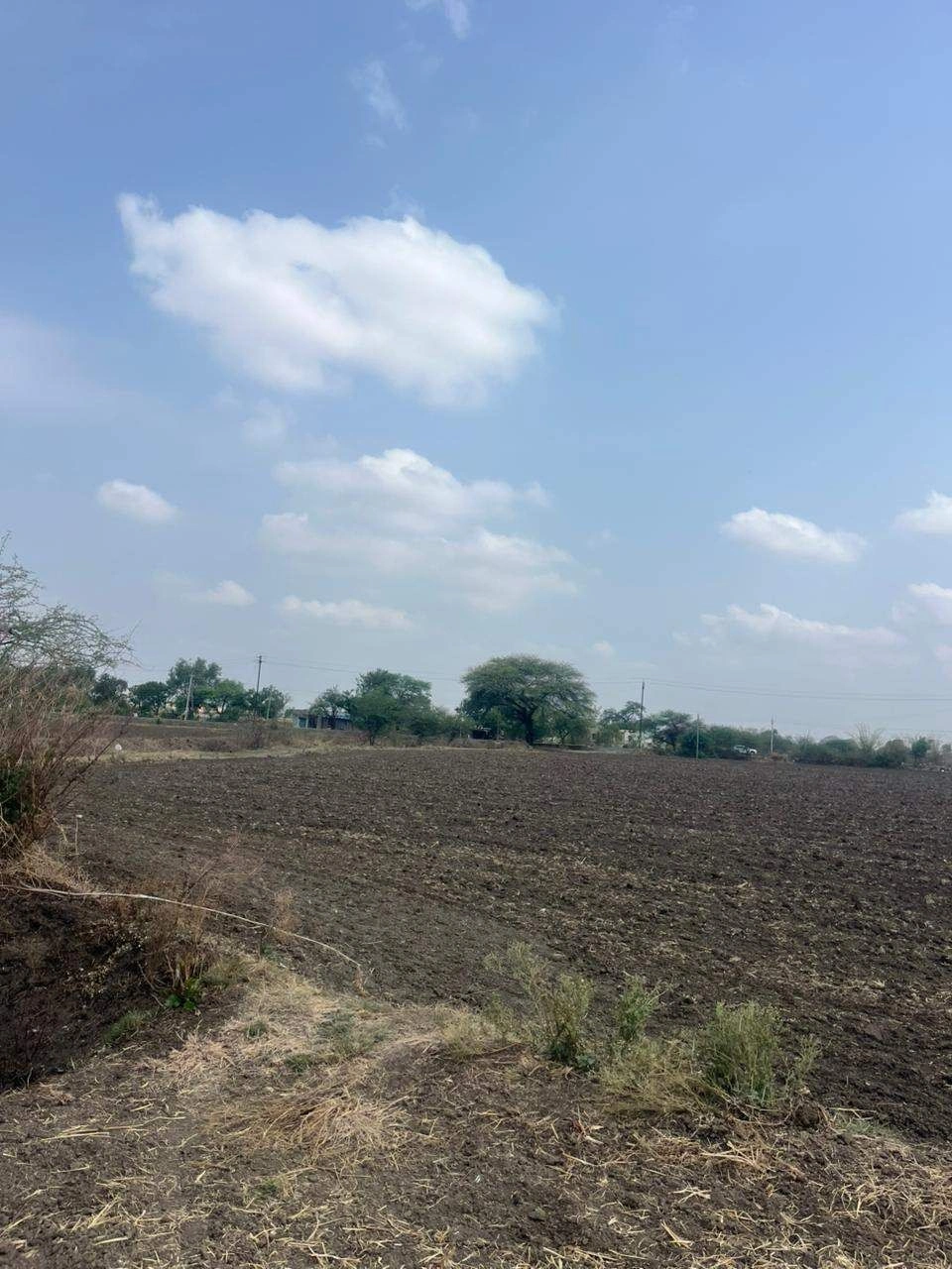 Bheda, Katni, Madhya Pradesh 483440, India