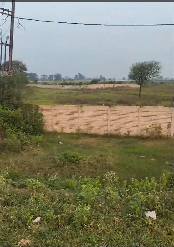 Sidhauli, Satna, Madhya Pradesh 485113, India