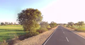 F26Q+PJC, Nanded, Madhya Pradesh 456668, India preview 2