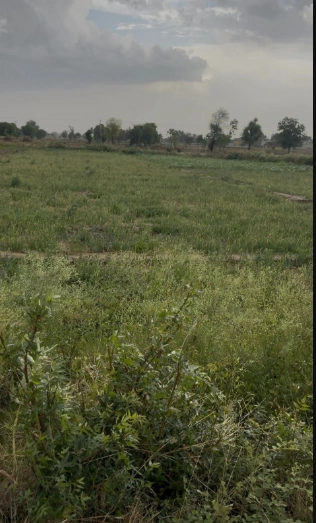 FJ65+C7 Mahwa Kalan, Alwar, Rajasthan, India