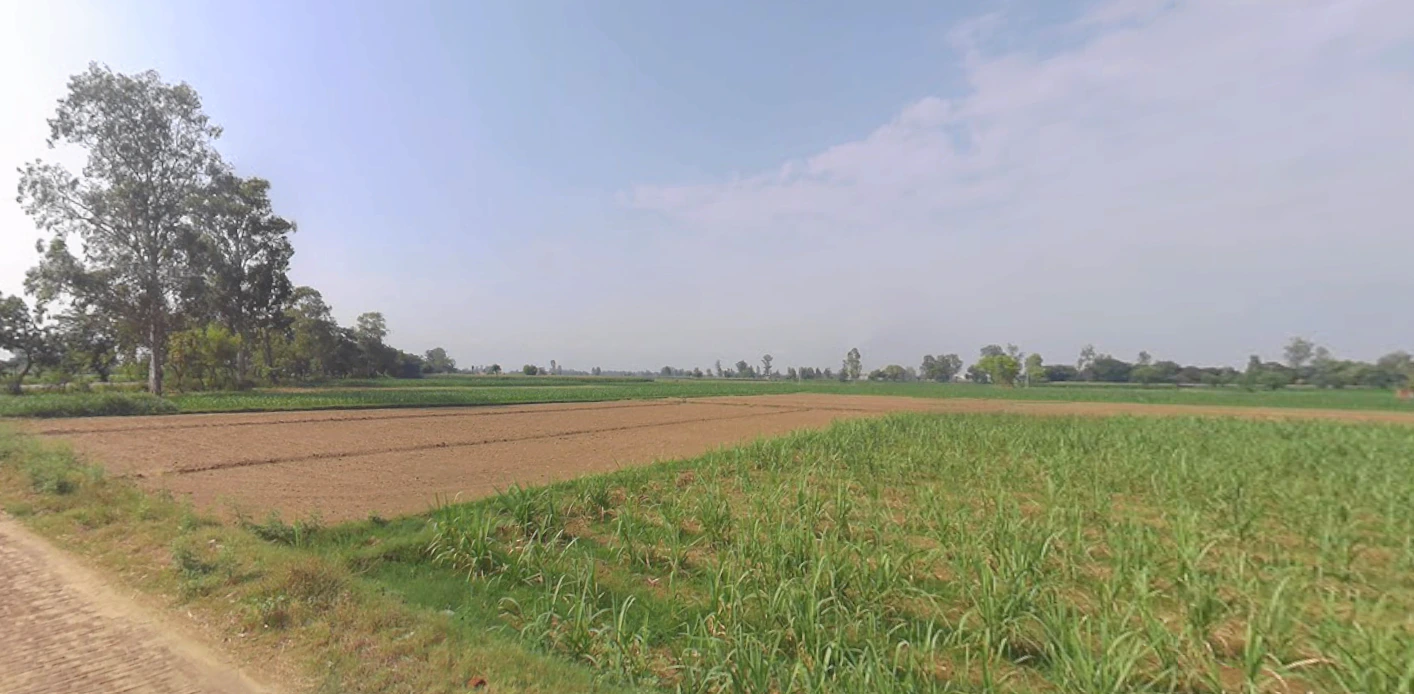 Najibabad, Uttar Pradesh 246763, India