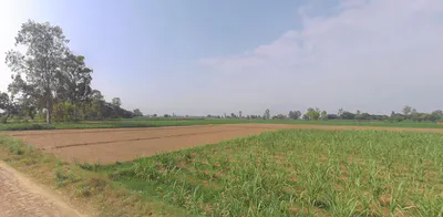 Najibabad, Uttar Pradesh 246763, India preview 2