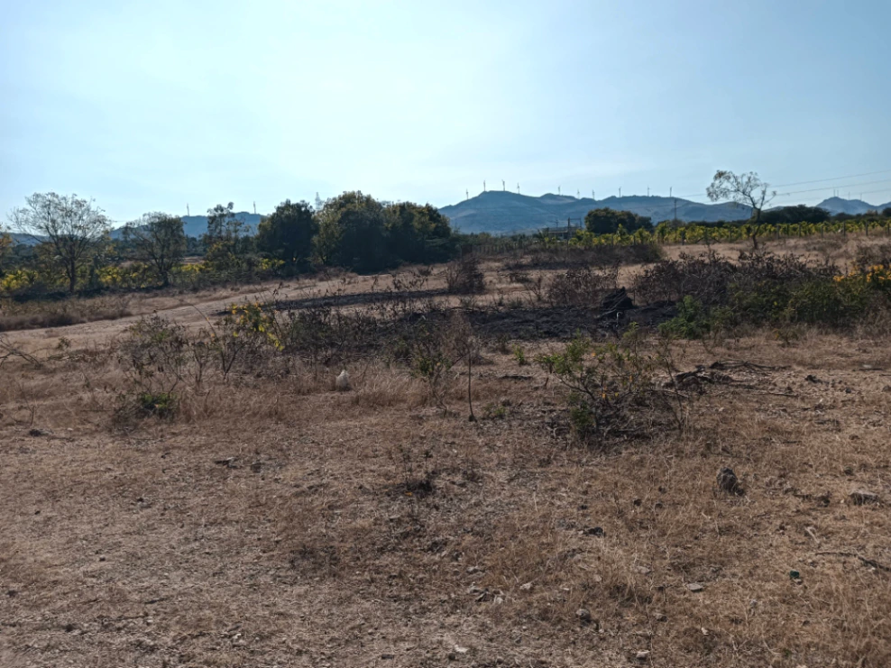 2334/56/2334, Aishwarya Colony, Hiriyur, Karnataka 577598, India