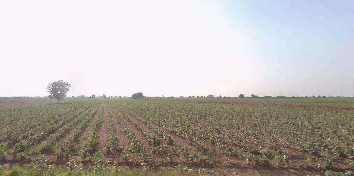 M72V+22 Manpar, Gujarat, India